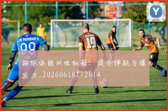 排球体能训练秘籍:提升弹跳与爆发力_20260618172014
